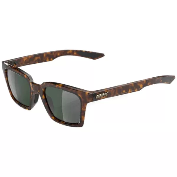 100% Erba Men's Lifestyle Sunglasses