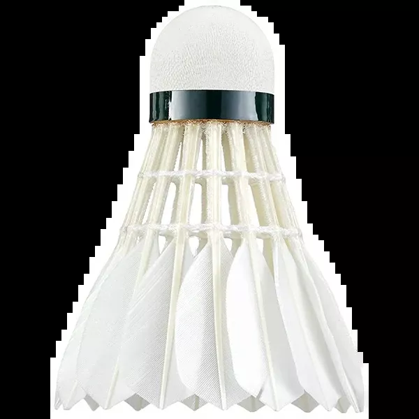 Aerosensa 30 Feather Dozen