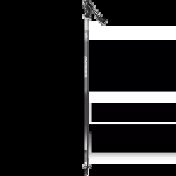Decree Re-Entry Pole