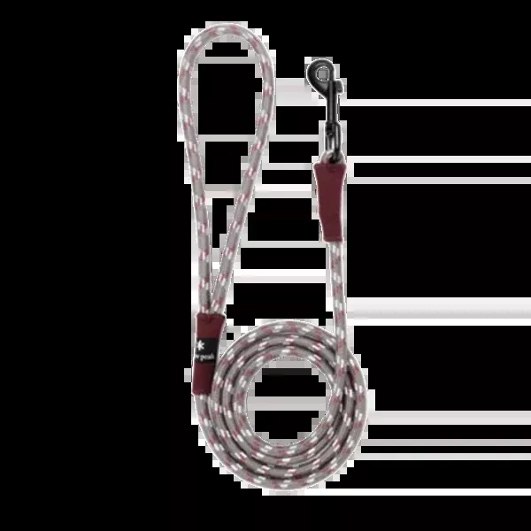 Dog Lead S