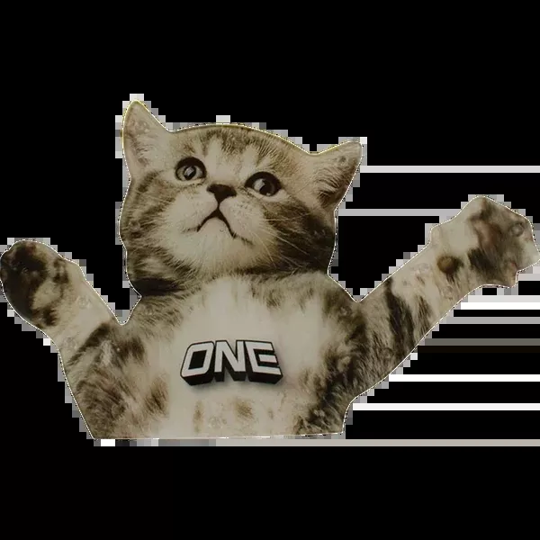Flying Cat