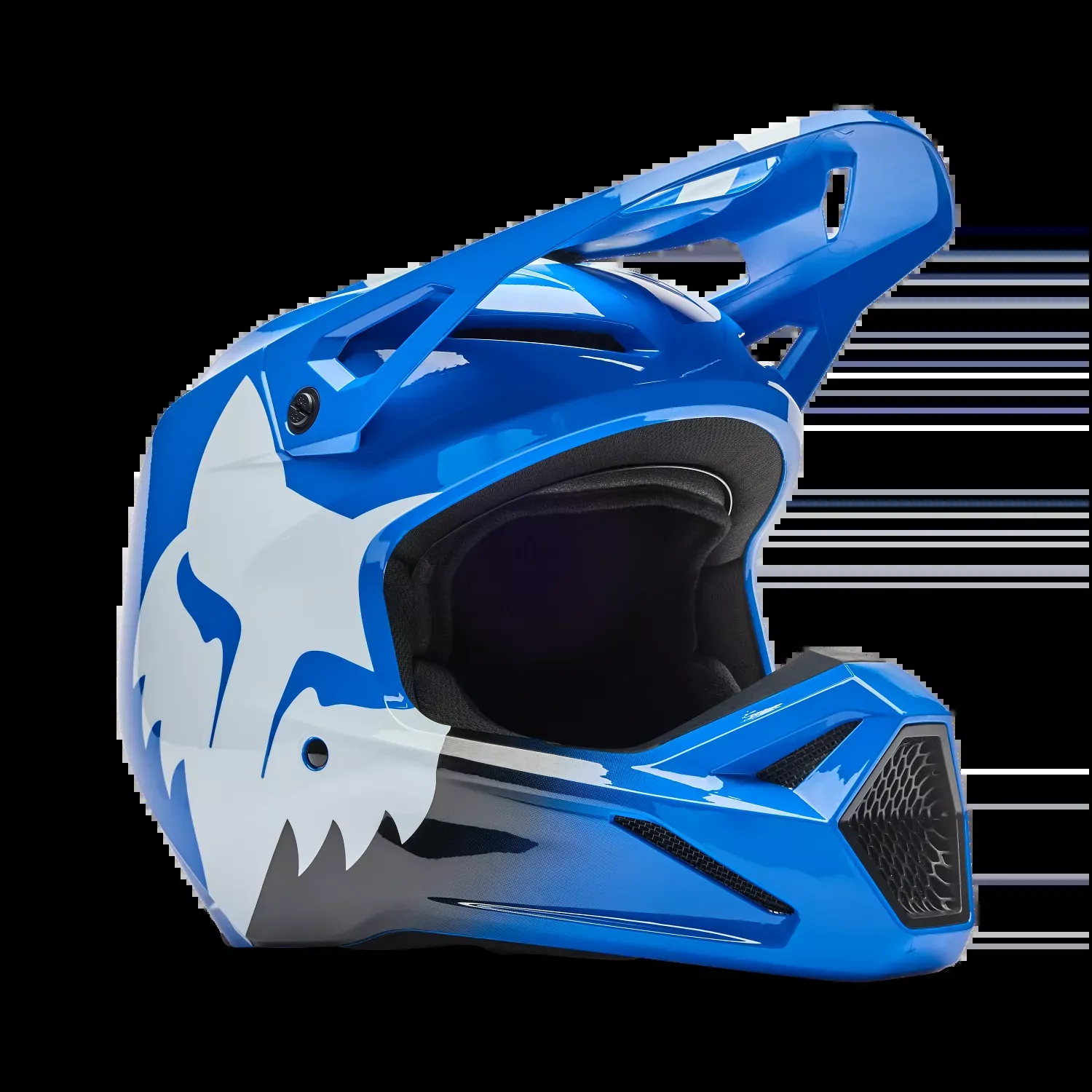 Fox Racing Youth V1 Shield Helmet (YL)