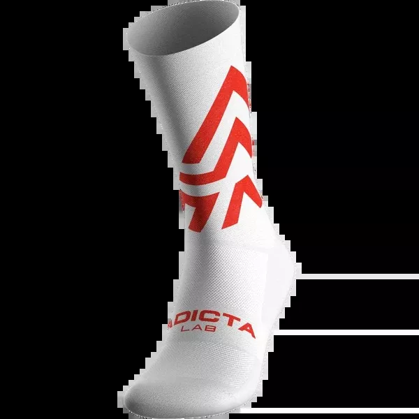 Ichnite Socks