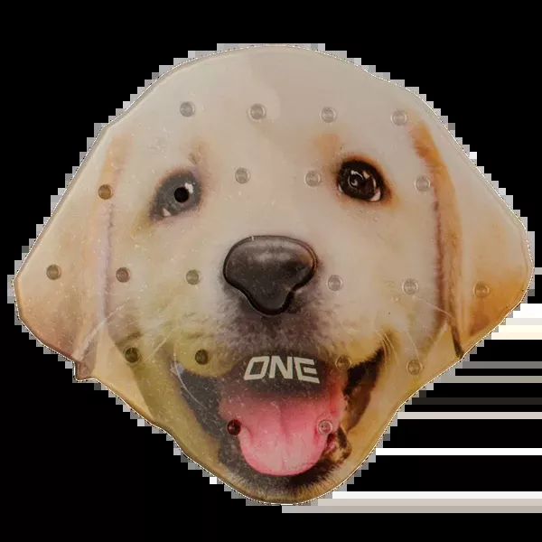 Lab