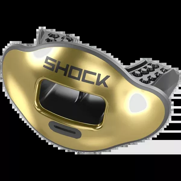 Max AirFlow Lip Guard Chrome