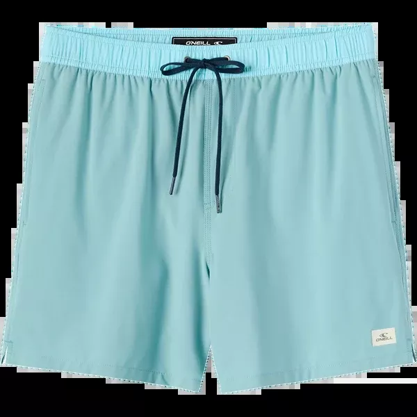 Men's Hermosa Lined Volley 15"