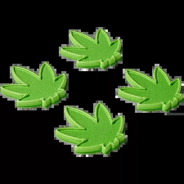 Mini Seaweed