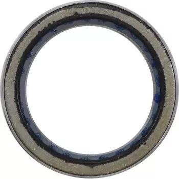 Moose Offroad Clutch Bearing Clutch Bearing - Polaris