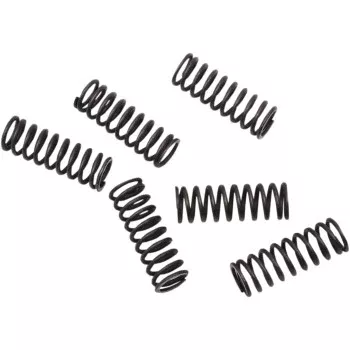 Moose Offroad Clutch Spring Set Clutch Springs - CRF 450