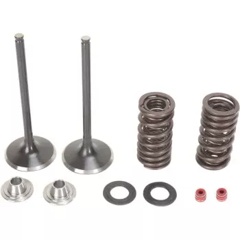 Moose Offroad Intake Valve and Spring Kit Valve and Spring Kit - Honda CRF250X | CRF250R