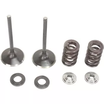 Moose Offroad Intake Valve and Spring Kit Valve and Spring Kit - Honda TRX450R | TRX450ER | CRF450R