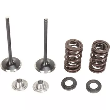 Moose Offroad Intake Valve and Spring Kit Valve and Spring Kit - Kawasaki KX250F