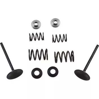 Moose Offroad Intake Valve and Spring Kit Valve and Spring Kit - Suzuki LTR450 Quad Racer