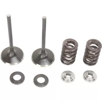 Moose Offroad Intake Valve and Spring Kit Valve and Spring Kit - Suzuki RMZ450