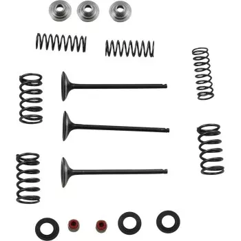 Moose Offroad Intake Valve and Spring Kit Valve and Spring Kit - Yamaha WR250F | YZ250F