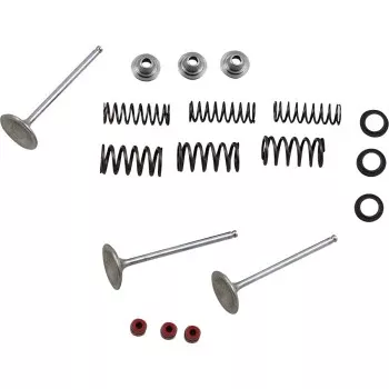 Moose Offroad Intake Valve and Spring Kit Valve and Spring Kit - Yamaha WR450F | YZ450F
