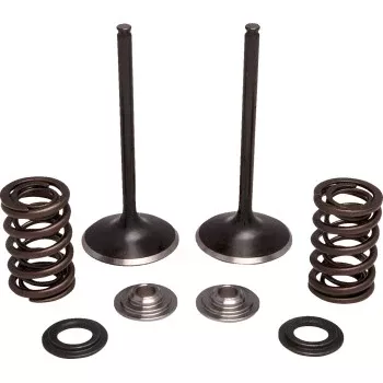 Moose Offroad Valve and Spring Kit - Exhaust - Honda