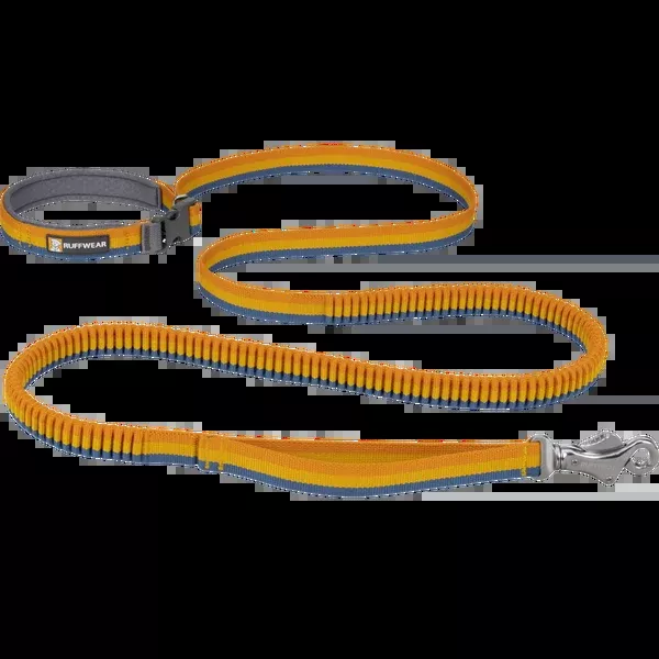 Roamer Bungee Leash