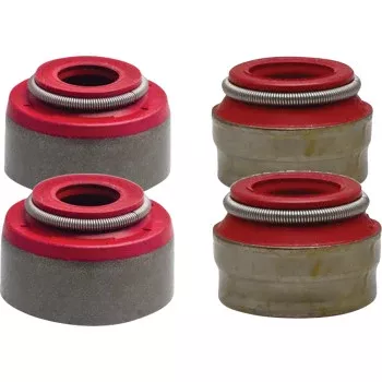 Valve Stem Seals Valve Seal Kit - 400-530 XC4 Engine - KTM