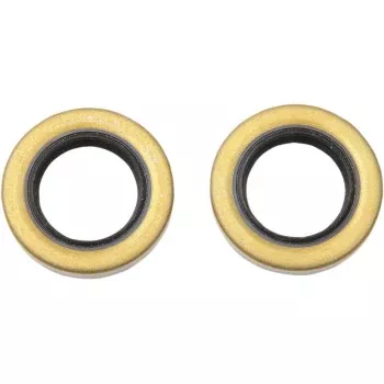 Wheel Bearing Seal for Star Hub