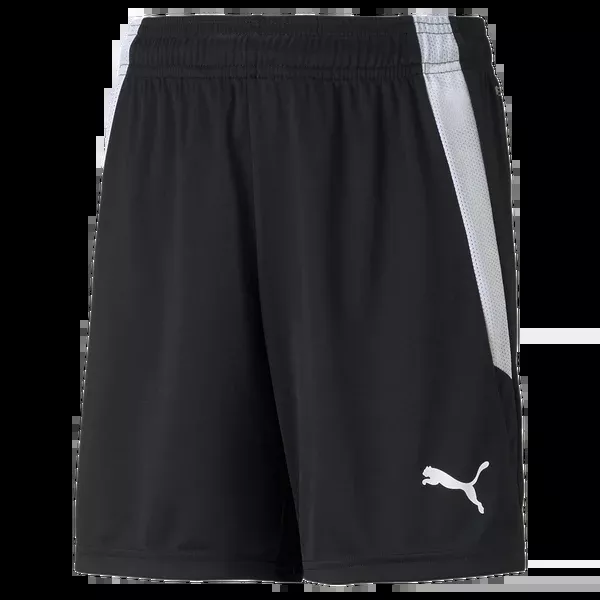 Youth Team Liga Shorts
